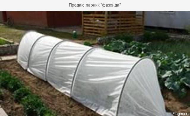 Стоит ли покупать парники фазенда?