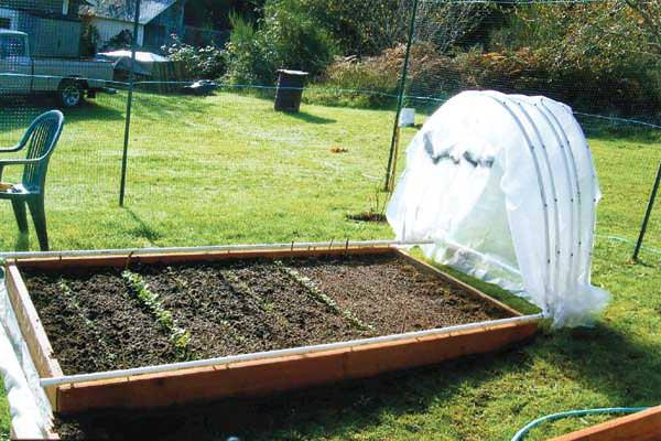 Стоит ли покупать парники фазенда?