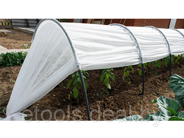 Стоит ли покупать парники фазенда?