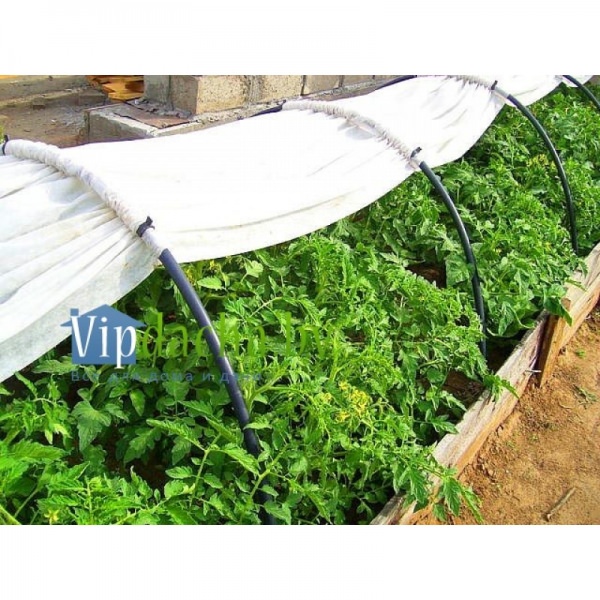 Стоит ли покупать парники фазенда?