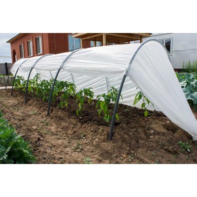Стоит ли покупать парники фазенда?