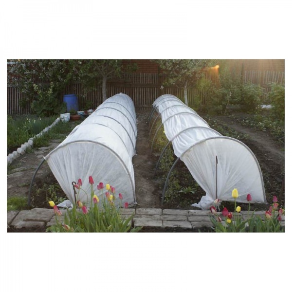 Стоит ли покупать парники фазенда?