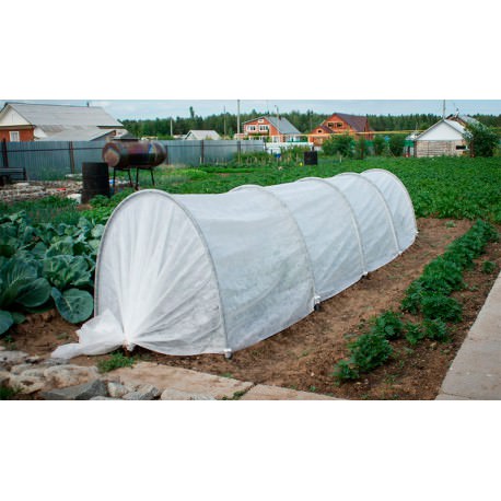 Стоит ли покупать парники фазенда?