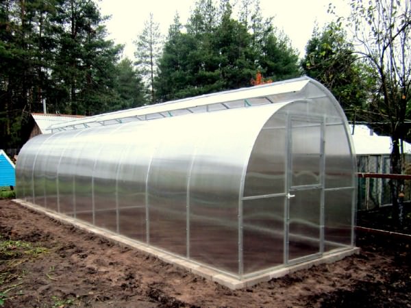 Стоит ли покупать теплицу москвичка?