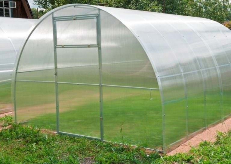 Стоит ли покупать теплицу москвичка?