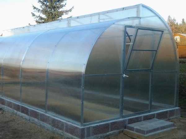 Стоит ли покупать теплицу москвичка?