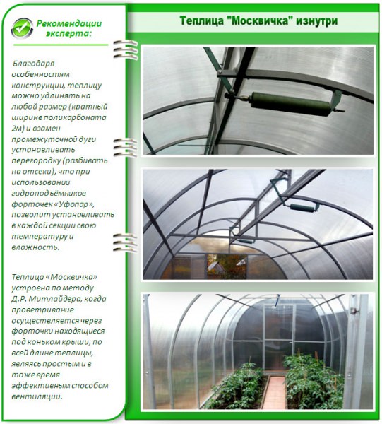 Стоит ли покупать теплицу москвичка?