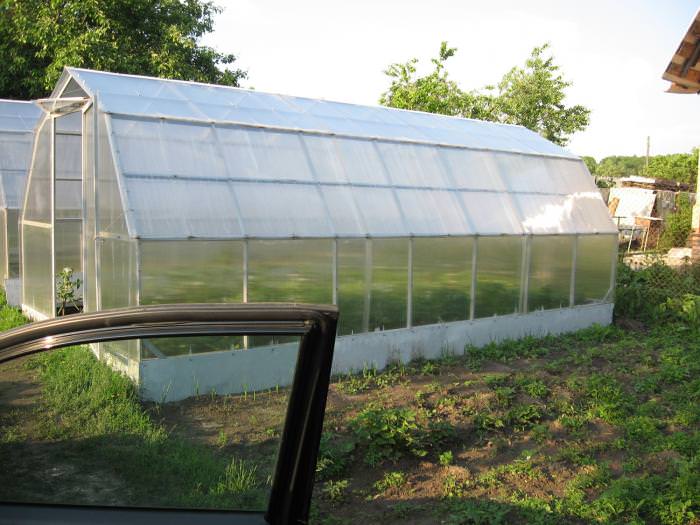 Строительство теплицы из поликарбоната своими руками