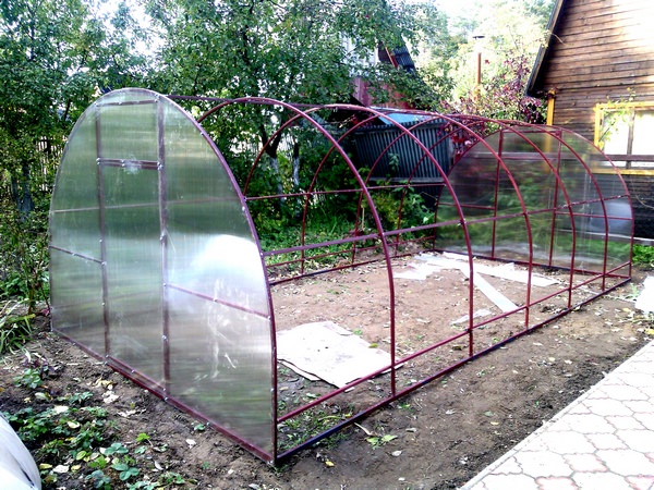 Строительство теплицы из поликарбоната своими руками