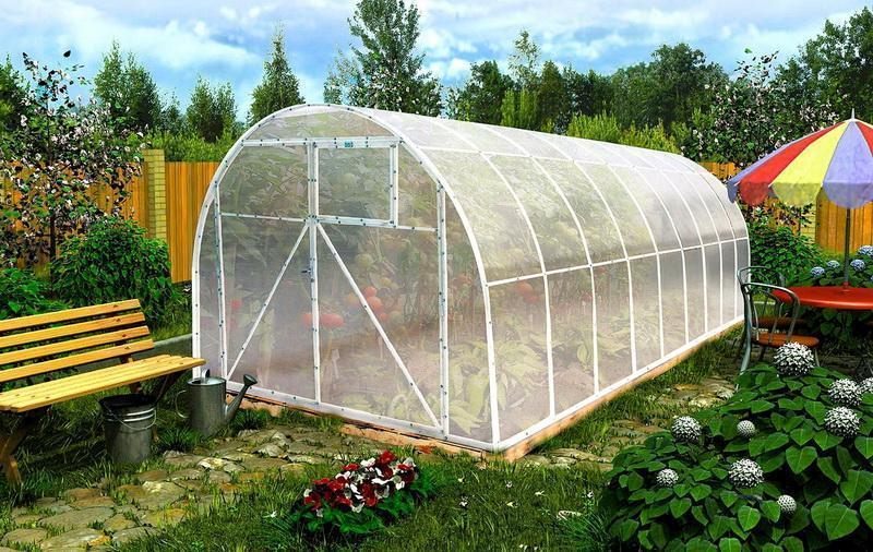 Строительство теплицы из поликарбоната своими руками