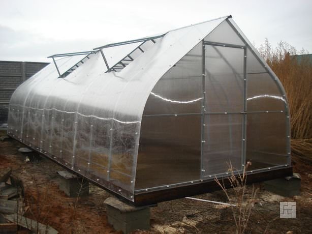 Строительство теплицы из поликарбоната своими руками
