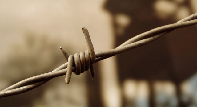 Судимость: сроки погашения и снятия, берут ли в армию