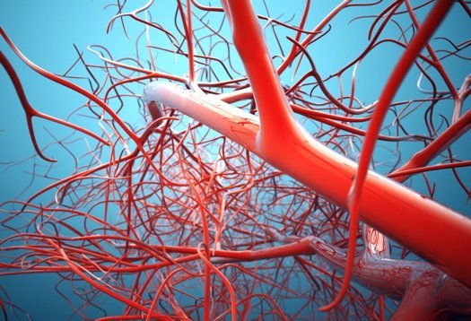 Таблетки от варикоза: венотонизирующие препараты, дезагреганты, лекарства для разжижения крови, профилактические средства, отзывы