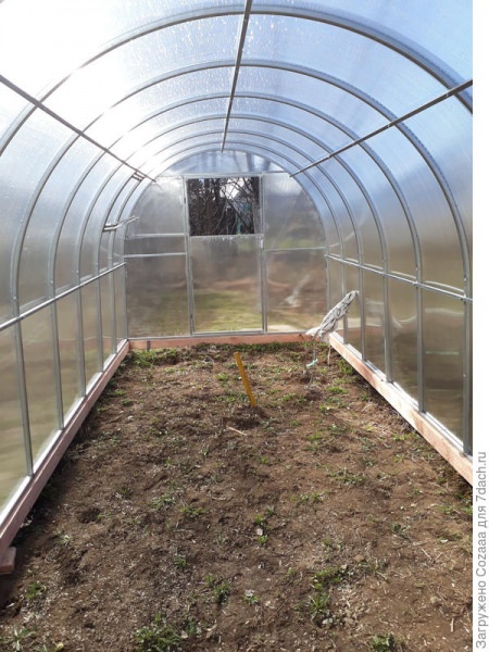 Так ли хороша теплица солнышко?