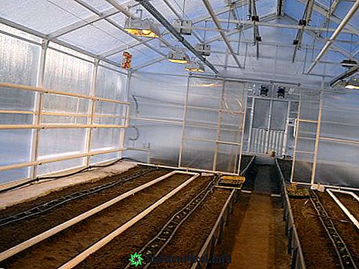 Технология изготовления зимних теплиц из поликарбоната с отоплением