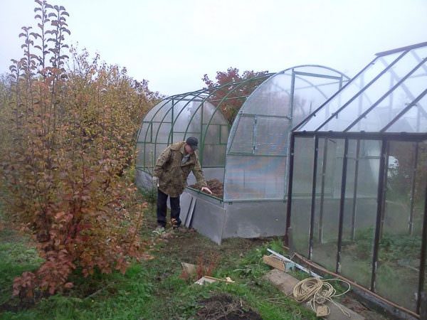 Технология подготовки теплицы к зиме