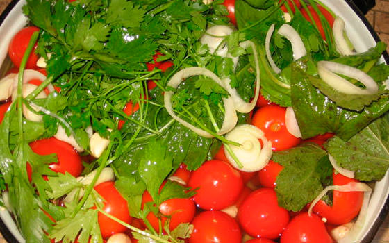 Технология выращивания зеленых помидоров в бочке