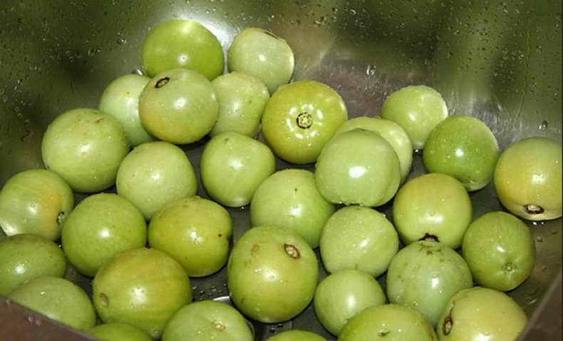 Технология выращивания зеленых помидоров в бочке