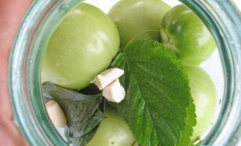 Технология выращивания зеленых помидоров в бочке