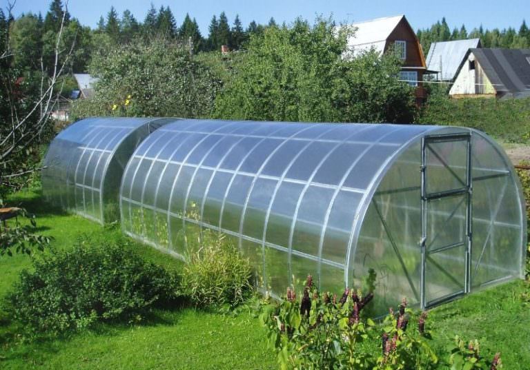 Теплица 2х4 из поликарбоната: характеристика, преимущества и правила размещения