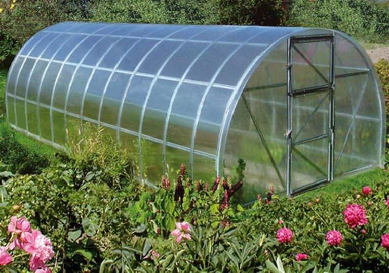 Теплица 2х4 из поликарбоната: характеристика, преимущества и правила размещения