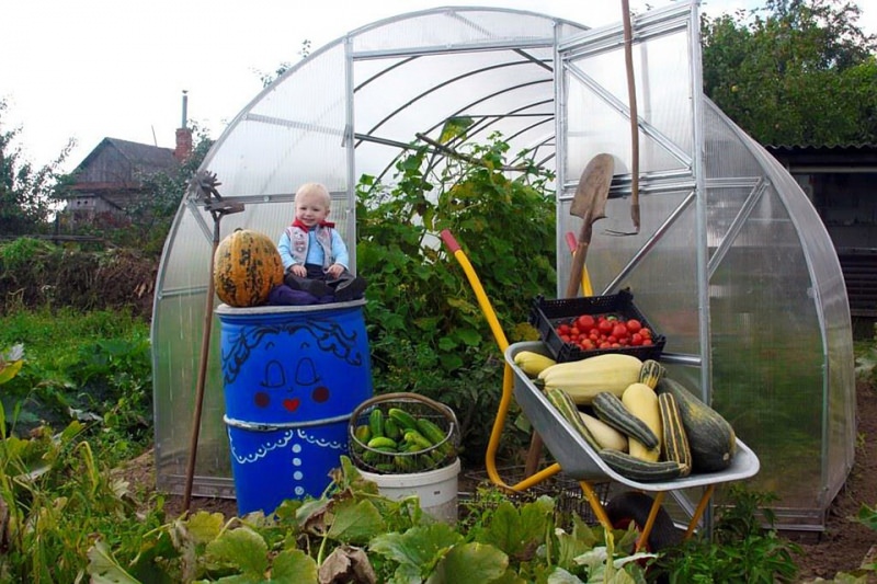 Теплица бюджетного класса «нова»