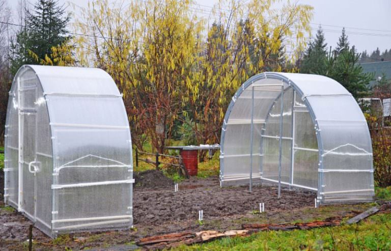 Теплица бюджетного класса «нова»