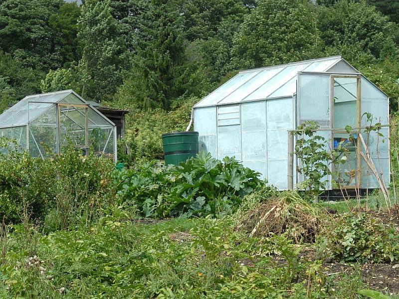 Теплица бюджетного класса «нова»