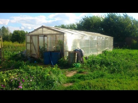 Теплица бюджетного класса «нова»