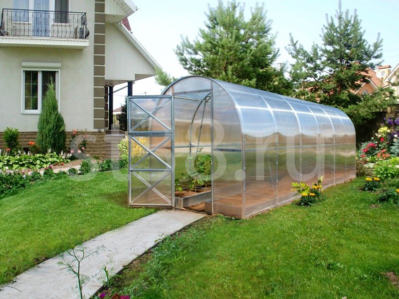 Теплица дачная двушка: характеристика, преимущества и правила сборки