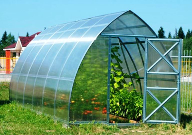 Теплица дачная стрелка: характеристика и особенности установки