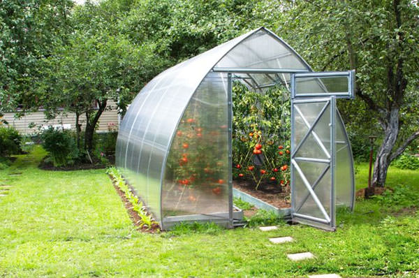 Теплица дачная стрелка: характеристика и особенности установки