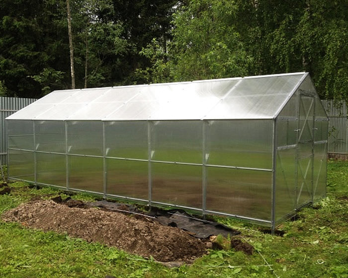 Теплица «дачная звездочка»: характеристика и особенности монтажа конструкции