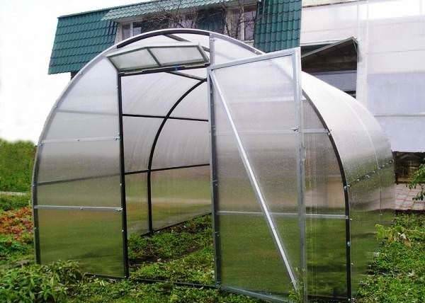 Теплица и парник: основные отличия конструкций