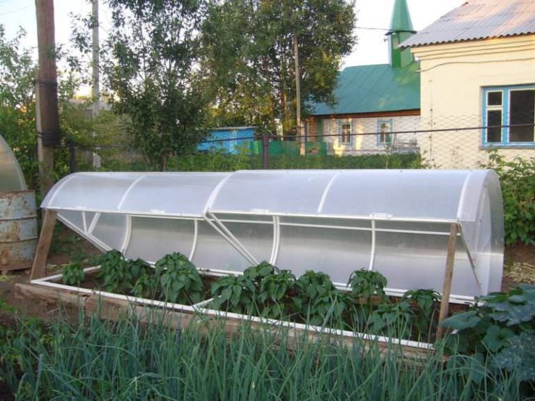 Теплица и парник: основные отличия конструкций