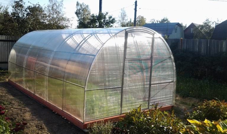 Теплица и парник: основные отличия конструкций