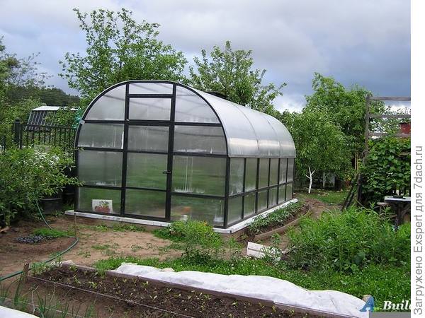 Теплица и парник: основные отличия конструкций