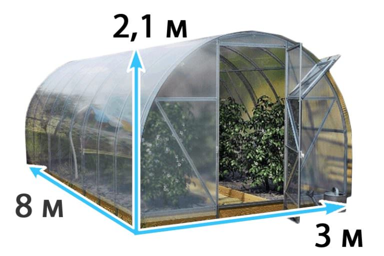 Теплица киновская: характеристика, достоинства и этапы самостоятельного монтажа