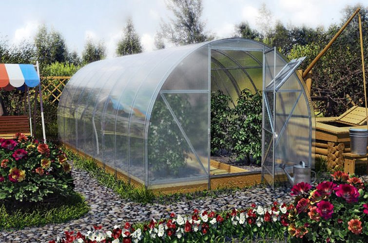 Теплица киновская: характеристика, достоинства и этапы самостоятельного монтажа