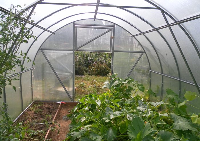 Теплица киновская: характеристика, достоинства и этапы самостоятельного монтажа