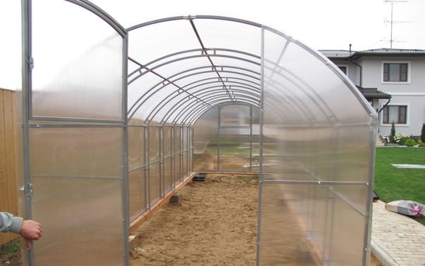 Теплица кремлевская сказка: характеристика и преимущества