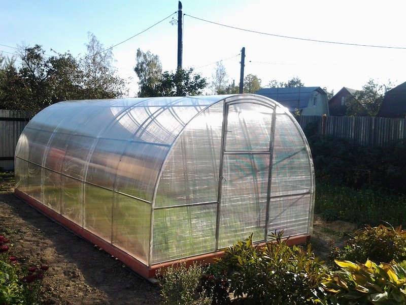 Теплица кремлевская сказка: характеристика и преимущества