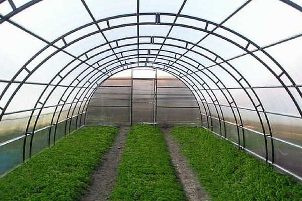 Теплица кремлевская сказка: характеристика и преимущества