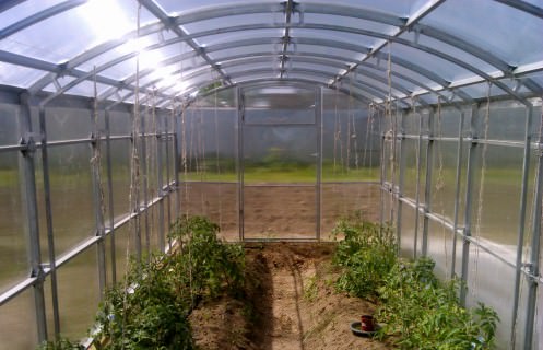 Теплица кремлевская сказка: характеристика и преимущества