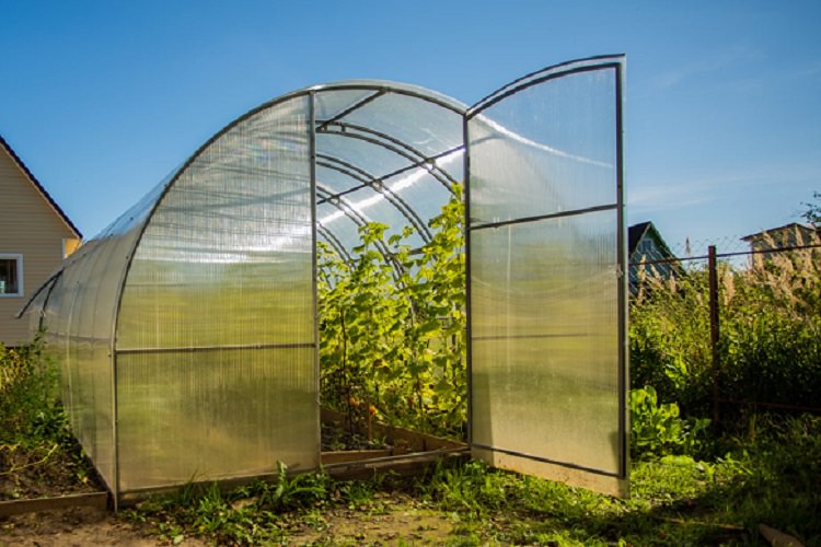 Теплица кремлевская сказка: характеристика и преимущества