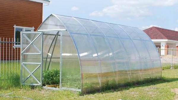 Теплица кремлевская стрелка: характеристика конструкции и этапы сборки