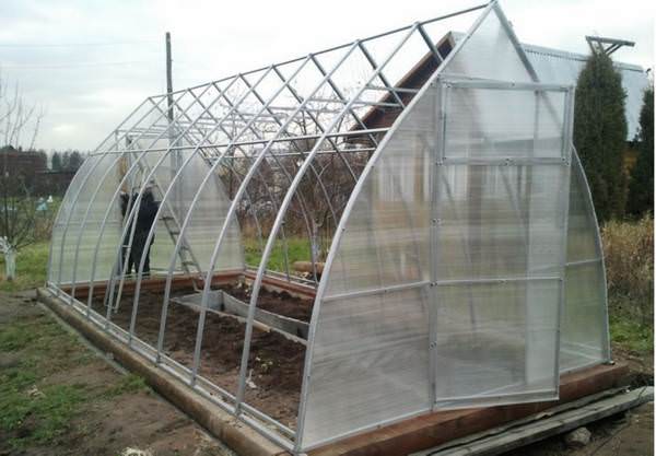 Теплица кремлевская стрелка: характеристика конструкции и этапы сборки