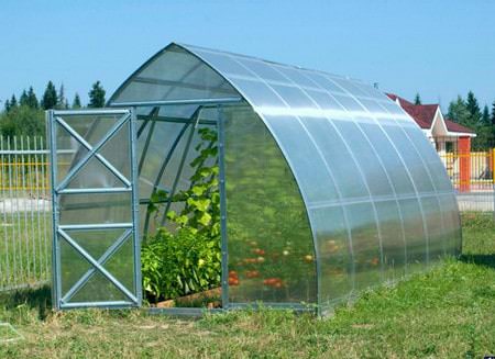 Теплица кремлевская стрелка: характеристика конструкции и этапы сборки