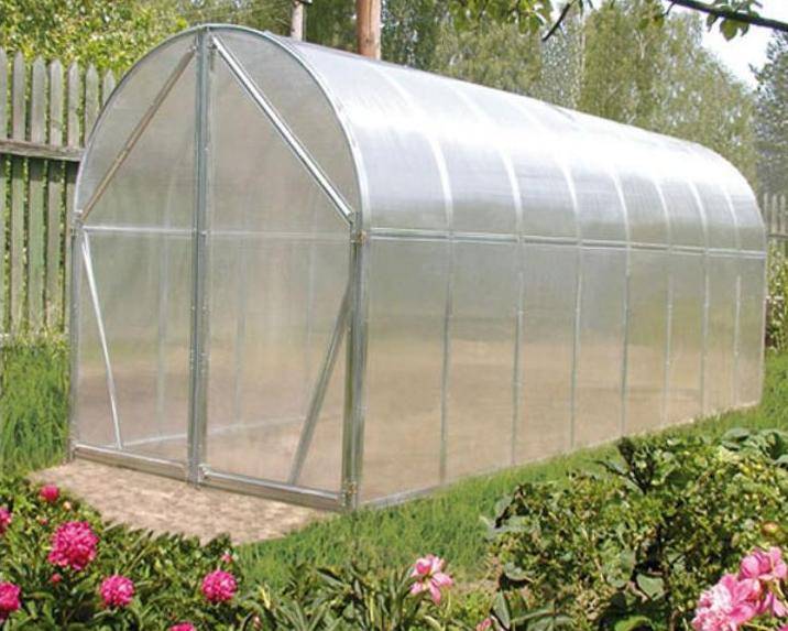 Теплица перчина-м: особенности конструкции и правила монтажа