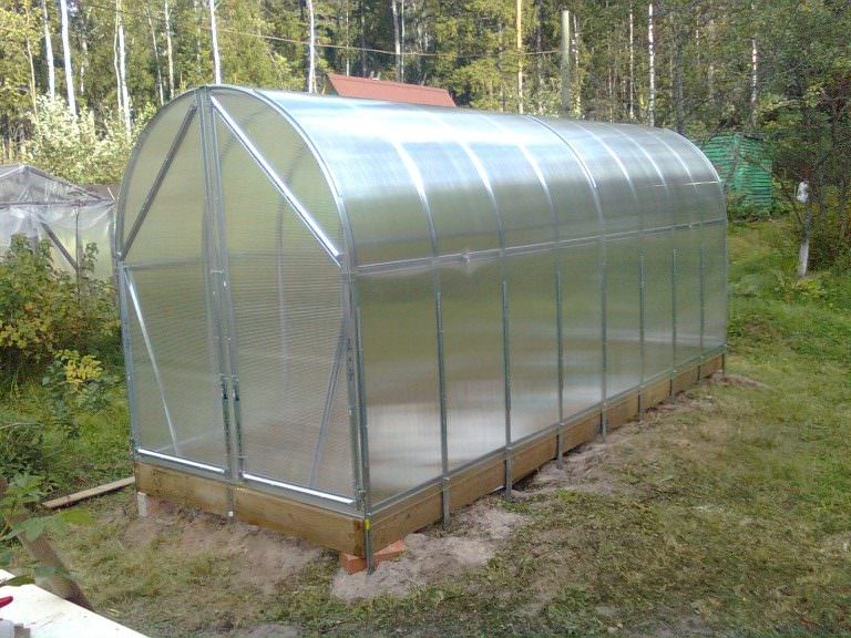 Теплица перчина-м: особенности конструкции и правила монтажа